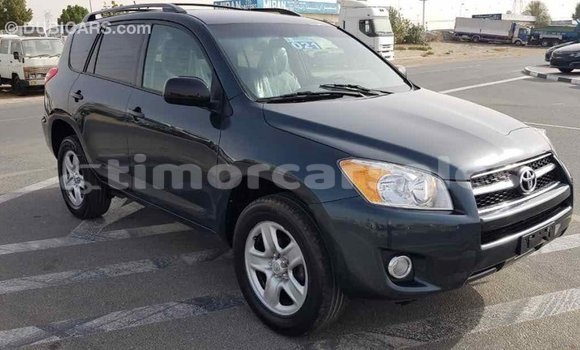 Buy Import Toyota RAV4 Green Car in Import - Dubai in Aileu Buy Import Toyota RAV4 Green Car in Import - Dubai in Aileu