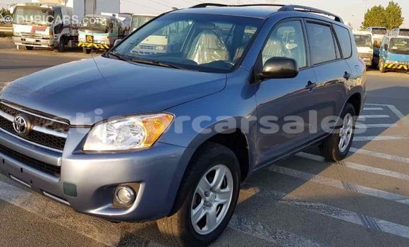 Buy Import Toyota RAV4 Blue Car in Import - Dubai in Aileu Buy Import Toyota RAV4 Blue Car in Import - Dubai in Aileu