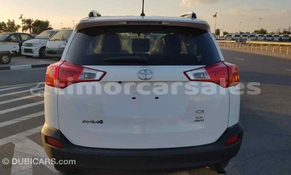 Buy Import Toyota RAV4 White Car in Import - Dubai in Aileu Buy Import Toyota RAV4 White Car in Import - Dubai in Aileu