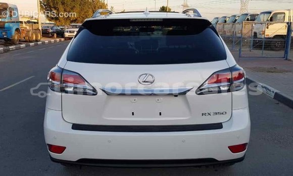 Buy Import Lexus RX 350 White Car in Import - Dubai in Aileu Buy Import Lexus RX 350 White Car in Import - Dubai in Aileu