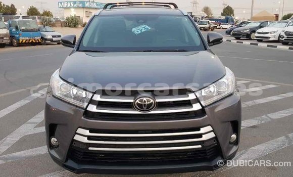 Buy Import Toyota Highlander Other Car in Import - Dubai in Aileu Buy Import Toyota Highlander Other Car in Import - Dubai in Aileu