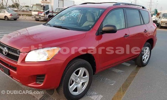 Buy Import Toyota RAV4 Red Car in Import - Dubai in Aileu Buy Import Toyota RAV4 Red Car in Import - Dubai in Aileu