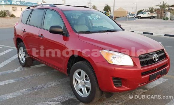 Buy Import Toyota RAV4 Red Car in Import - Dubai in Aileu Buy Import Toyota RAV4 Red Car in Import - Dubai in Aileu