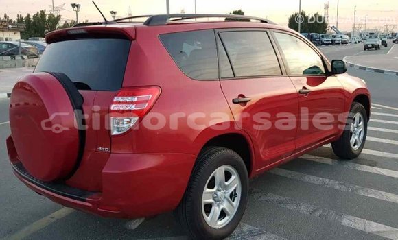 Buy Import Toyota RAV4 Red Car in Import - Dubai in Aileu Buy Import Toyota RAV4 Red Car in Import - Dubai in Aileu