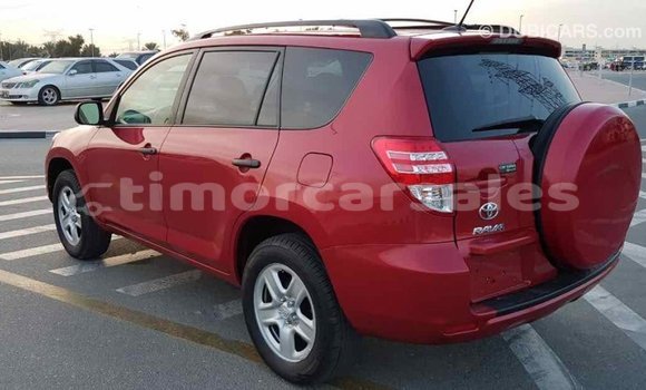 Buy Import Toyota RAV4 Red Car in Import - Dubai in Aileu Buy Import Toyota RAV4 Red Car in Import - Dubai in Aileu