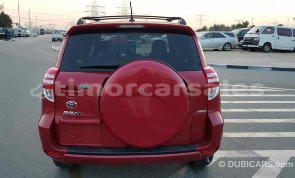 Buy Import Toyota RAV4 Red Car in Import - Dubai in Aileu Buy Import Toyota RAV4 Red Car in Import - Dubai in Aileu