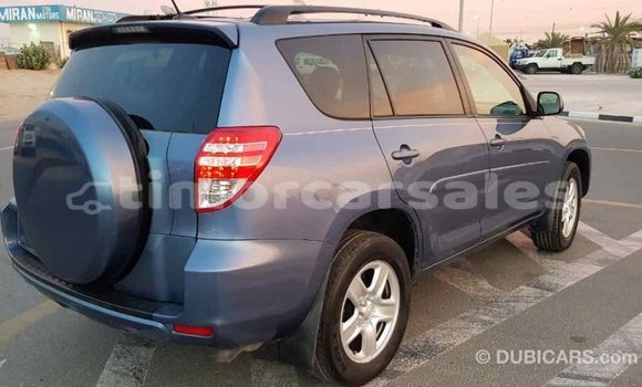 Buy Import Toyota RAV4 Blue Car in Import - Dubai in Aileu Buy Import Toyota RAV4 Blue Car in Import - Dubai in Aileu