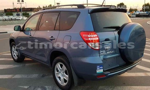 Buy Import Toyota RAV4 Blue Car in Import - Dubai in Aileu Buy Import Toyota RAV4 Blue Car in Import - Dubai in Aileu