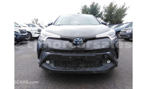 Buy Import Toyota C-HR Other Car in Import - Dubai in Aileu Buy Import Toyota C-HR Other Car in Import - Dubai in Aileu