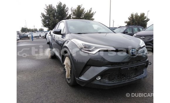 Buy Import Toyota C-HR Other Car in Import - Dubai in Aileu Buy Import Toyota C-HR Other Car in Import - Dubai in Aileu