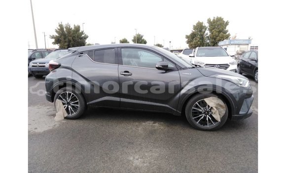 Buy Import Toyota C-HR Other Car in Import - Dubai in Aileu Buy Import Toyota C-HR Other Car in Import - Dubai in Aileu
