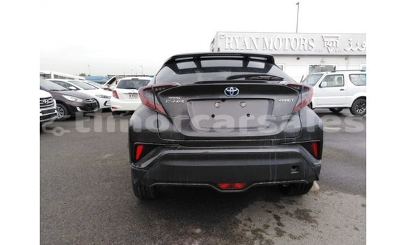 Buy Import Toyota C-HR Other Car in Import - Dubai in Aileu Buy Import Toyota C-HR Other Car in Import - Dubai in Aileu