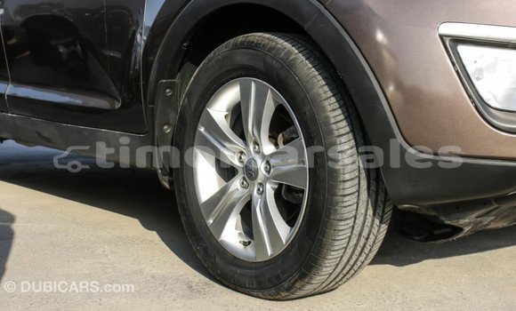 Buy Import Kia Sportage Brown Car in Import - Dubai in Aileu