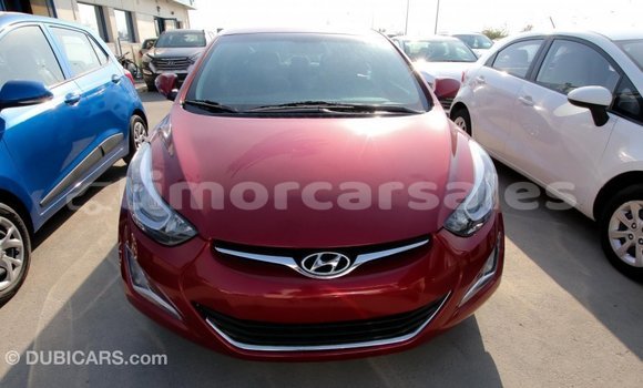 Buy Import Hyundai Elantra Red Car in Import - Dubai in Aileu Buy Import Hyundai Elantra Red Car in Import - Dubai in Aileu