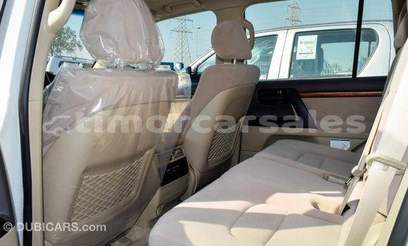 Buy Import Toyota Land Cruiser White Car in Import - Dubai in Aileu Buy Import Toyota Land Cruiser White Car in Import - Dubai in Aileu