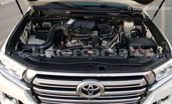 Buy Import Toyota Land Cruiser White Car in Import - Dubai in Aileu Buy Import Toyota Land Cruiser White Car in Import - Dubai in Aileu