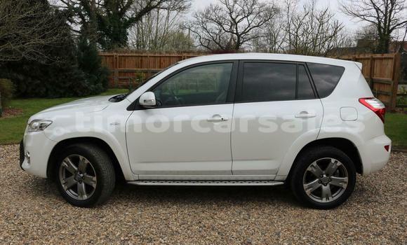 Buy Used Toyota RAV4 White Car in Dili in Dili Buy Used Toyota RAV4 White Car in Dili in Dili