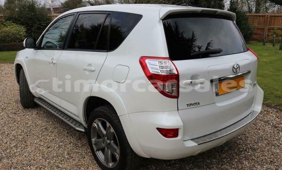 Buy Used Toyota RAV4 White Car in Dili in Dili Buy Used Toyota RAV4 White Car in Dili in Dili