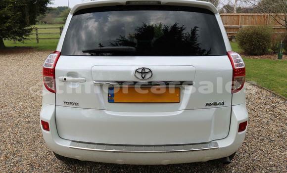 Buy Used Toyota RAV4 White Car in Dili in Dili Buy Used Toyota RAV4 White Car in Dili in Dili