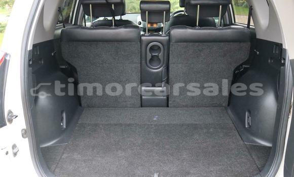 Buy Used Toyota RAV4 White Car in Dili in Dili Buy Used Toyota RAV4 White Car in Dili in Dili