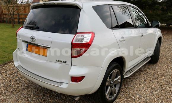 Buy Used Toyota RAV4 White Car in Dili in Dili Buy Used Toyota RAV4 White Car in Dili in Dili