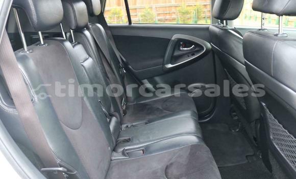 Buy Used Toyota RAV4 White Car in Dili in Dili Buy Used Toyota RAV4 White Car in Dili in Dili