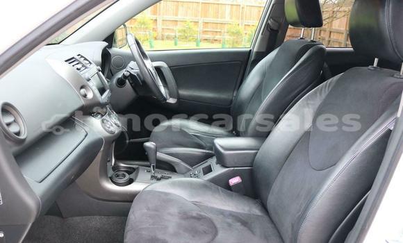 Buy Used Toyota RAV4 White Car in Dili in Dili Buy Used Toyota RAV4 White Car in Dili in Dili
