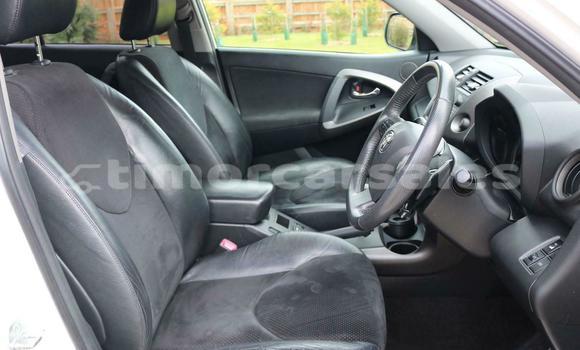 Buy Used Toyota RAV4 White Car in Dili in Dili Buy Used Toyota RAV4 White Car in Dili in Dili