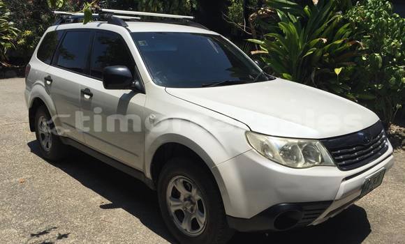 Buy Used Subaru Forester Other Car in Pante Macassar in Ambeno ( Oecusse)