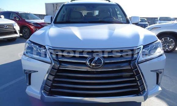 Buy Used Lexus LX 570 White Car in Aituto in Ainaro