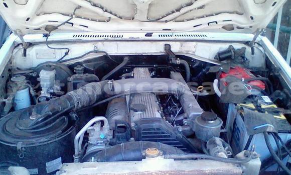 Buy Used Toyota Troop Other Car in Dili in Dili Buy Used Toyota Troop Other Car in Dili in Dili