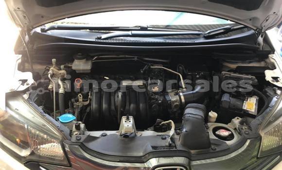 Buy Used Honda Fit White Car in Dili in Dili Buy Used Honda Fit White Car in Dili in Dili