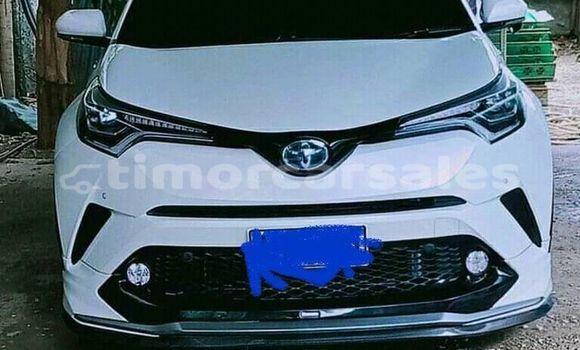 Buy Used Toyota C-HR White Car in Dili in Dili