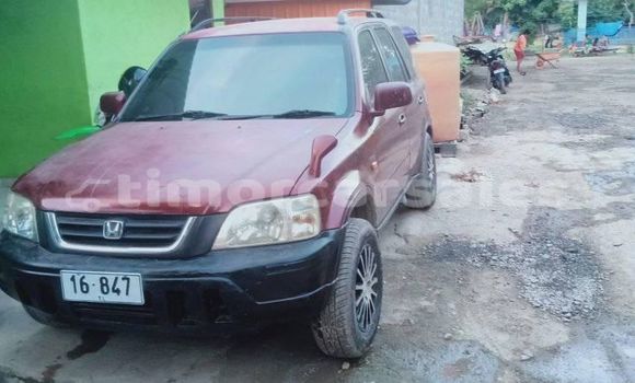 Buy Used Honda CRV Red Car in Dili in Dili Buy Used Honda CRV Red Car in Dili in Dili