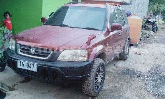 Buy Used Honda CRV Red Car in Dili in Dili Buy Used Honda CRV Red Car in Dili in Dili